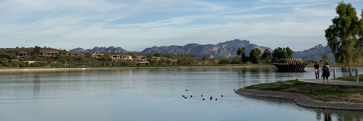 About Arizona DUI and Mental Health Solutions - AZDUIMHS