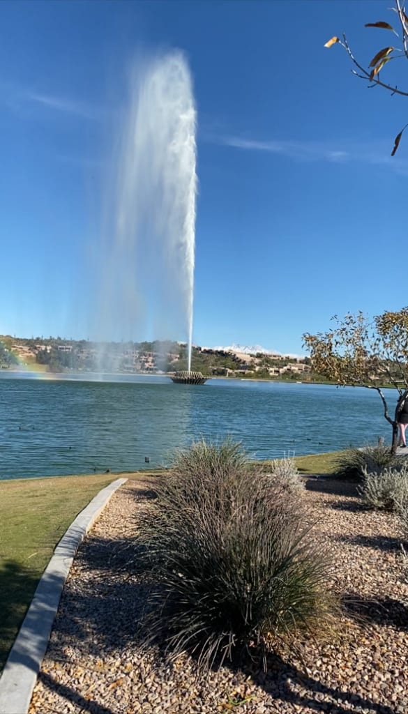 About Arizona DUI and Mental Health Solutions - AZDUIMHS